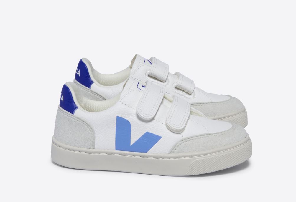 VEJA Small V-12