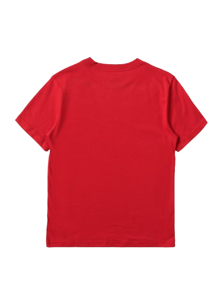 POLO RALPH LAUREN t shirt