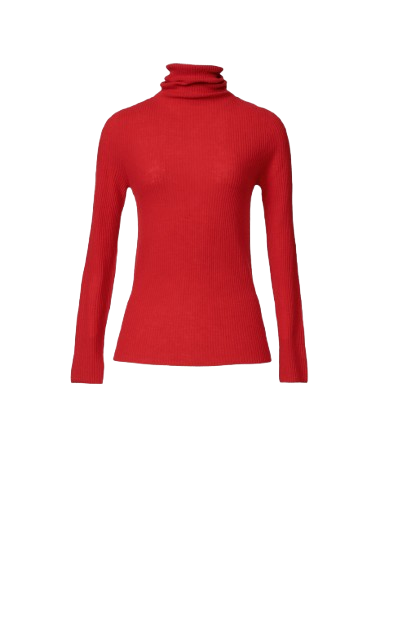 FABIANA FILIPPI Turtleneck knitwear FABIANA FILIPPI Turtleneck knitwear