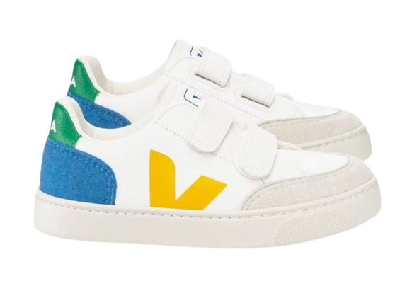 VEJA Small V-12