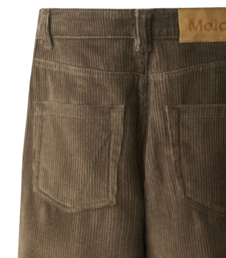 MOLO Aiden
