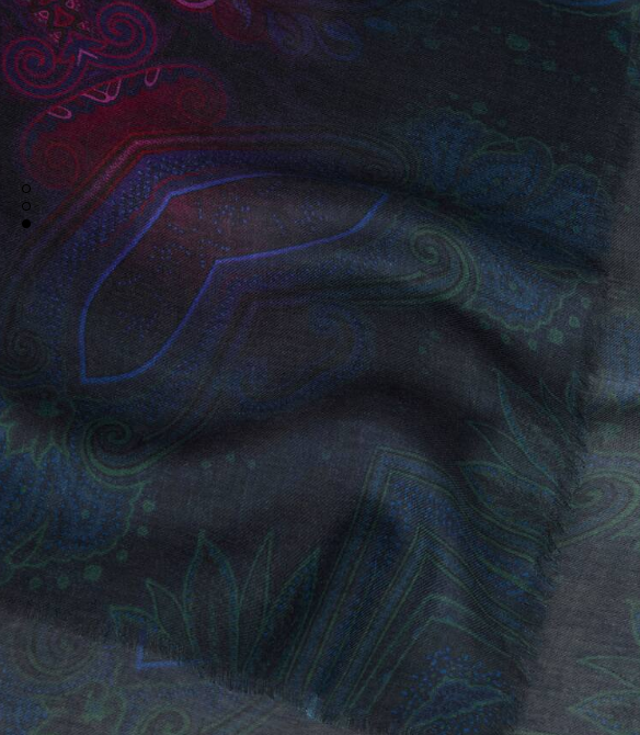 ETRO Aida Shawl