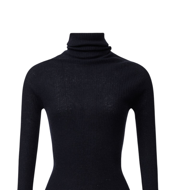 FABIANA FILIPPI Turtleneck Sweater