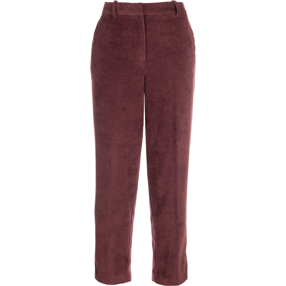 CIRCOLO 1901 Karottenhose