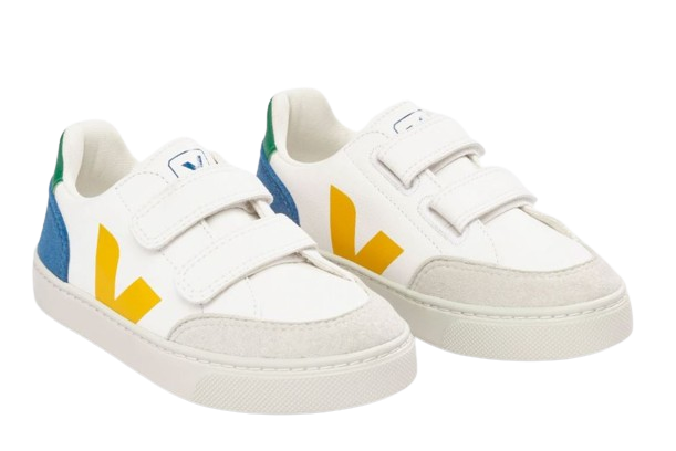 VEJA Small V-12