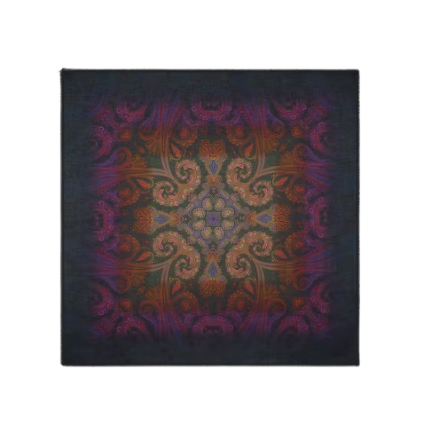 ETRO Aida Shawl