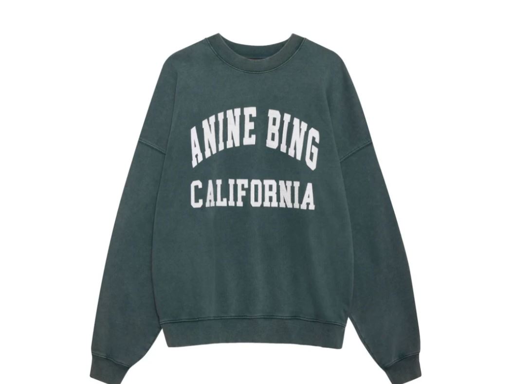 ANINE BING MILES SWEATSHIRT