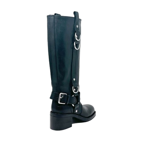 ASH BOOTS VEGETAL CALF BLACK 40 Oberrauch Zitt