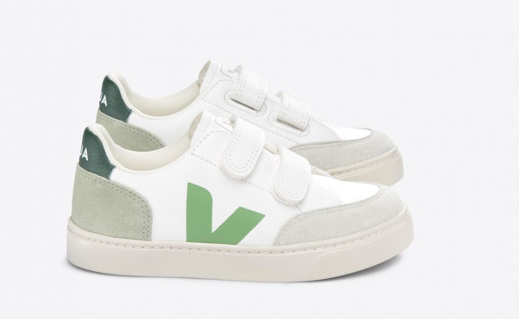 VEJA Small V-12