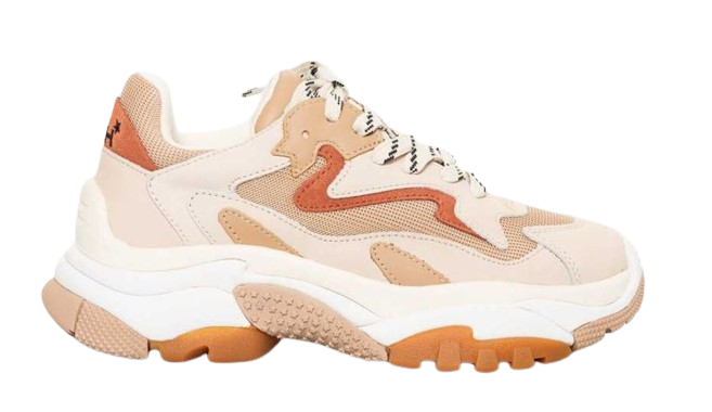 Scarpe ash uomo deals