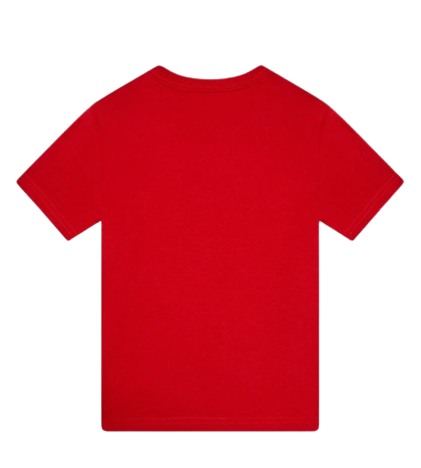 POLO RALPH LAUREN t shirt