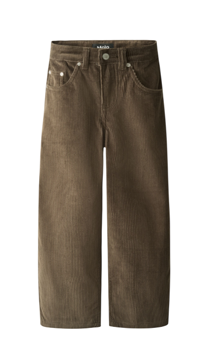MOLO Aiden