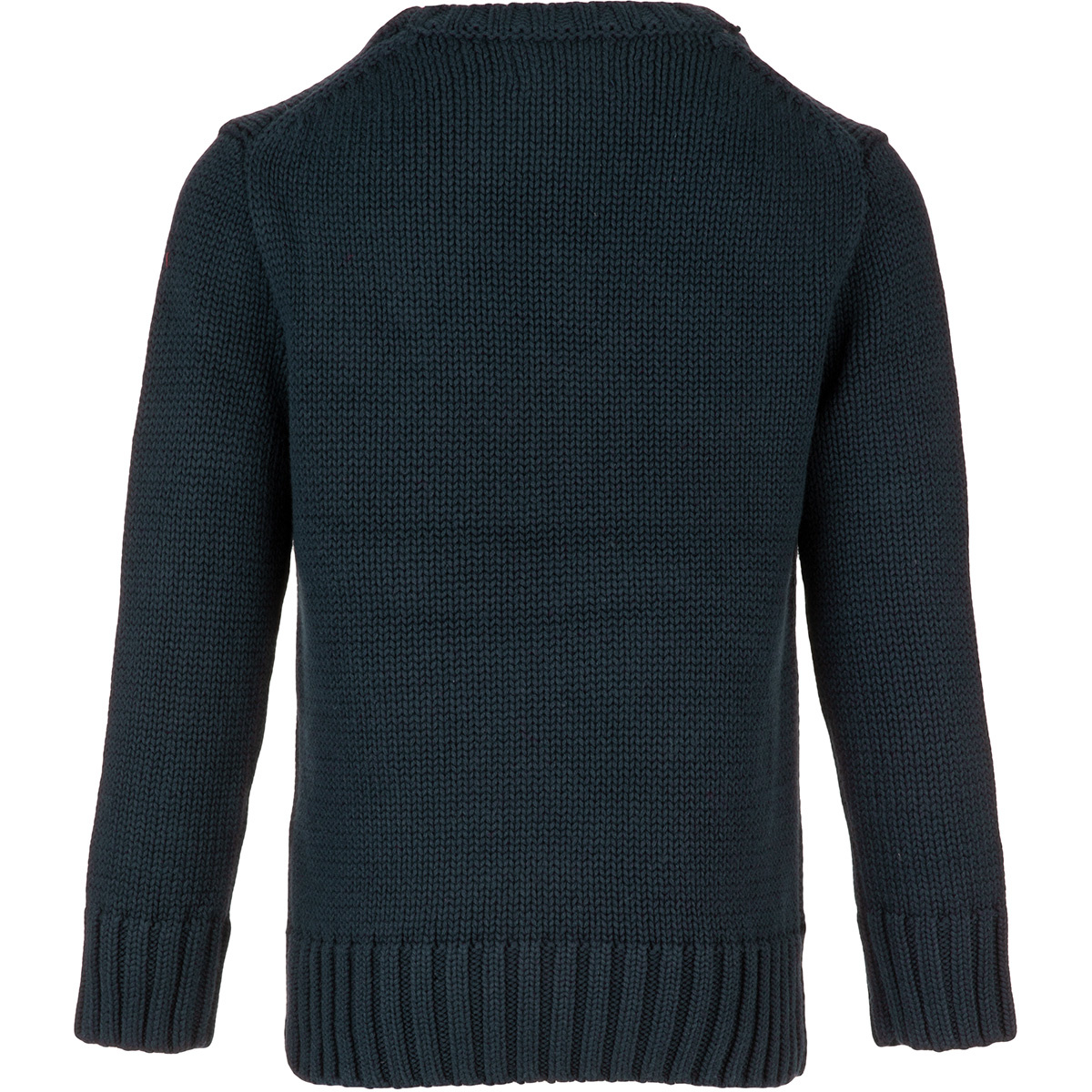 POLO RALPH LAUREN Flag CN Sweater