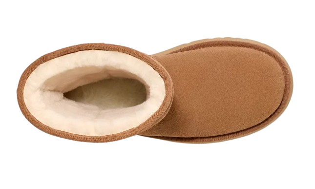 UGG W CLASSIC SHORT NEW HEIGHTS