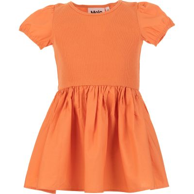 MOLO Caitlin Dress