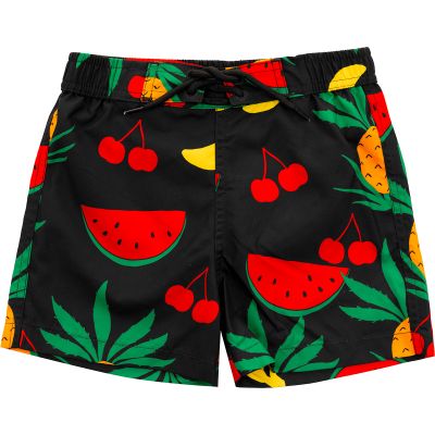 MINIRODINI fruits short